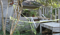 Storm Tree Damage